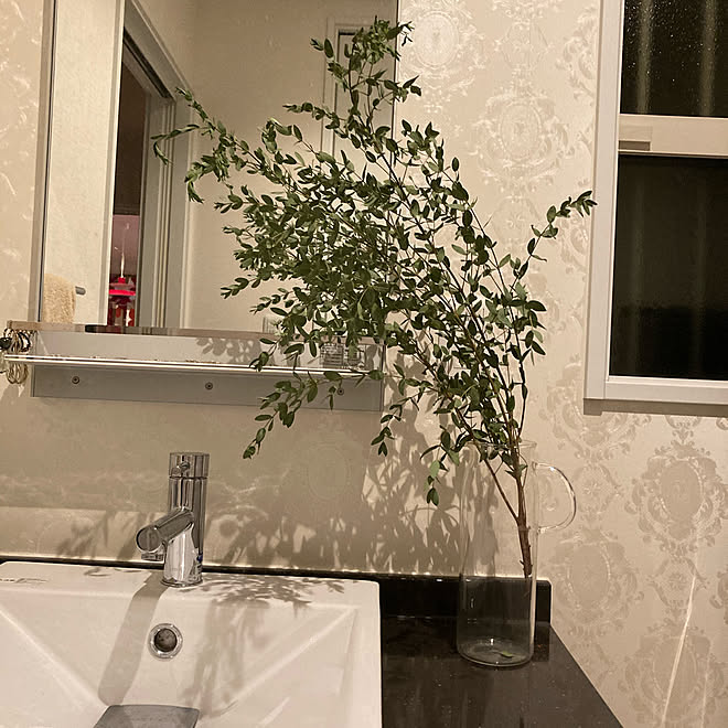 洗面台インテリア 洗面台周り ユーカリドライ ユーカリ どらいふらわー などのインテリア実例 11 16 18 35 07 Roomclip ルームクリップ