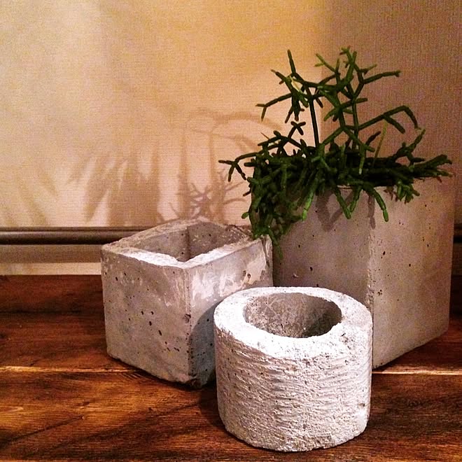 棚 リプサリス 自作鉢 Diyのインテリア実例 15 01 30 08 37 36 Roomclip ルームクリップ