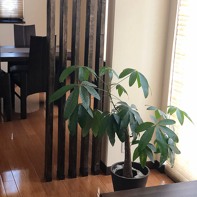 間仕切り Diy 観葉植物 リビング ラブリコ ２ ４ などのインテリア実例 19 11 15 15 55 27 Roomclip ルームクリップ