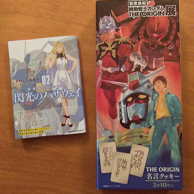 部屋全体 今月の新刊 閃光のハサウェイ 機動戦士ガンダム 機動戦士ガンダム ジ オリジン などのインテリア実例 22 04 02 26 09 Roomclip ルームクリップ