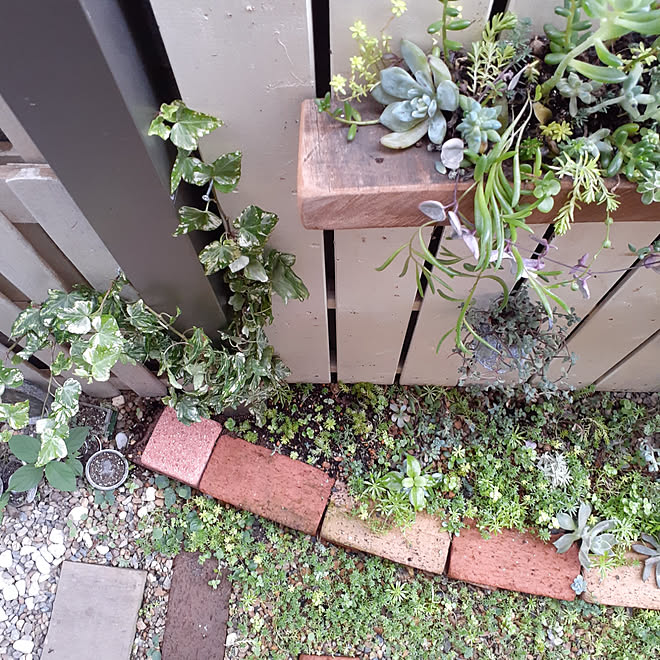 棚 アイビー 支柱 セダム 雨ざらし などのインテリア実例 08 09 06 33 48 Roomclip ルームクリップ