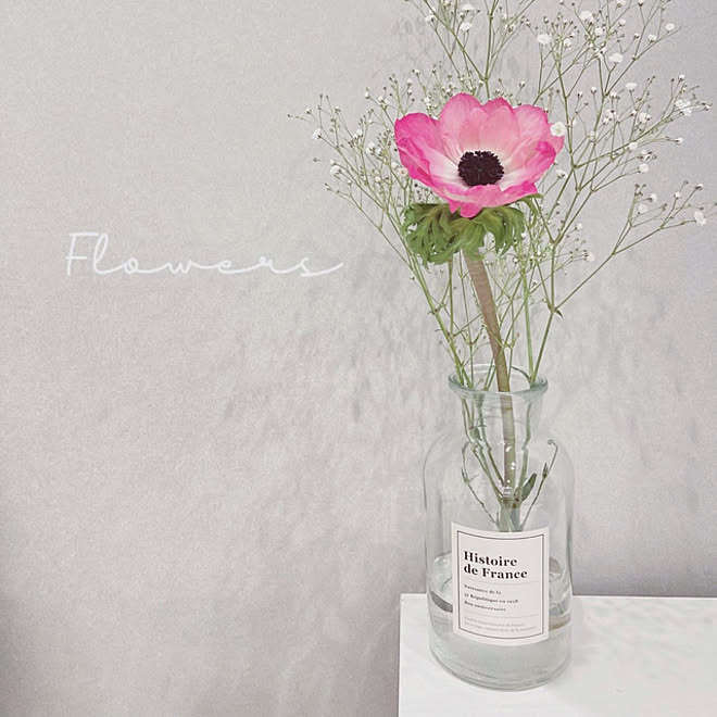 春っぽく かすみ草 アネモネ 花のある暮らし ダイソー などのインテリア実例 22 03 12 23 14 23 Roomclip ルームクリップ 春っぽく かすみ草 アネモネ 花のある暮らし ダイソー などのインテリア実例 22 03 12 23 14 23 Roomclip ルームクリップ