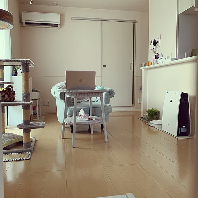 シンプルインテリア ナチュラル 一人暮らし 1ldk 猫と暮らす などのインテリア実例 22 01 24 16 47 01 Roomclip ルームクリップ