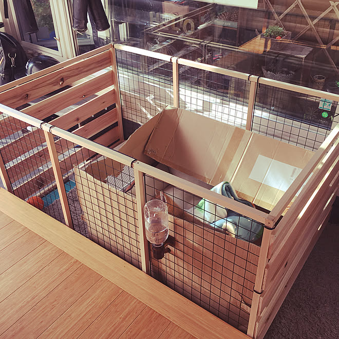 ゲージdiy 犬のケージ 犬のゲージ ワイヤーネット 結束バンド などのインテリア実例 10 14 40 45 Roomclip ルームクリップ
