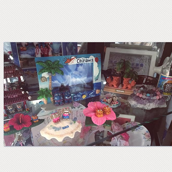 棚/わんこと暮らす家/ブログやってます♡/マンションインテリア/白くしたい...などのインテリア実例 2017