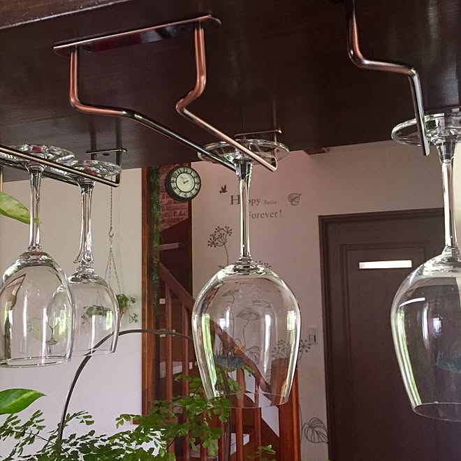 地質学 ストリーム ワット ニトリ ワイン グラス ハンガー Polypool Org