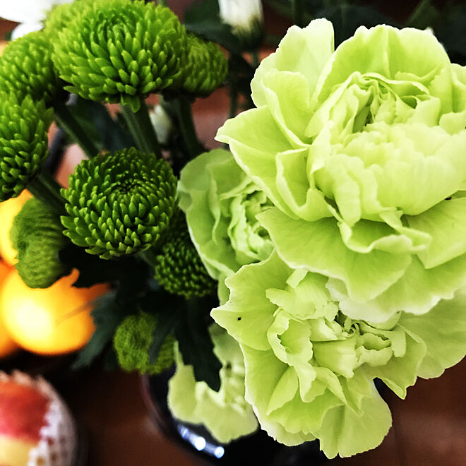 緑のカーネーション 母にお供えのお花 棚のインテリア実例 09 04 11 36 23 Roomclip ルームクリップ