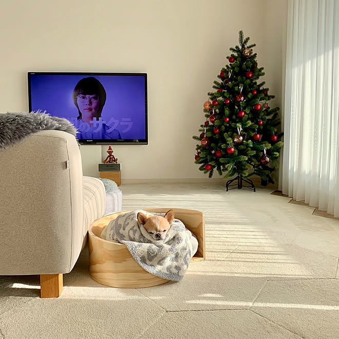 タイルカーペット クリスマス クリスマスツリー ムートン 北欧インテリア などのインテリア実例 19 12 19 18 35 42 Roomclip ルームクリップ タイルカーペット クリスマス クリスマスツリー ムートン 北欧インテリア などのインテリア実例 19 12 19 18 35 42 Roomclip ルームクリップ
