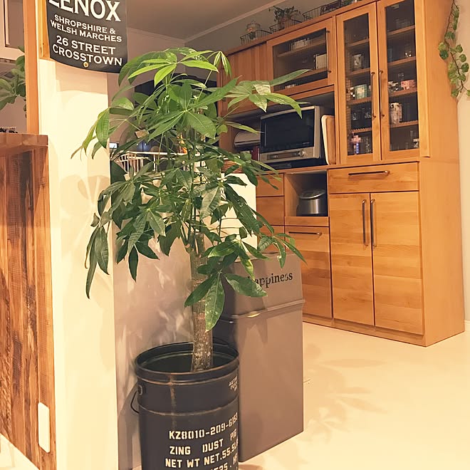 キッチン 目隠し Nogreennolife 植物園化 計画 植物のある暮らし などのインテリア実例 17 04 28 10 04 Roomclip ルームクリップ