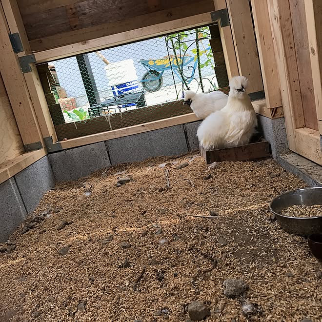 ベッド周り 中古を買ってリノベーション なぜか家にグラウンドがある 鶏小屋 烏骨鶏 などのインテリア実例 17 04 25 17 00 03 Roomclip ルームクリップ