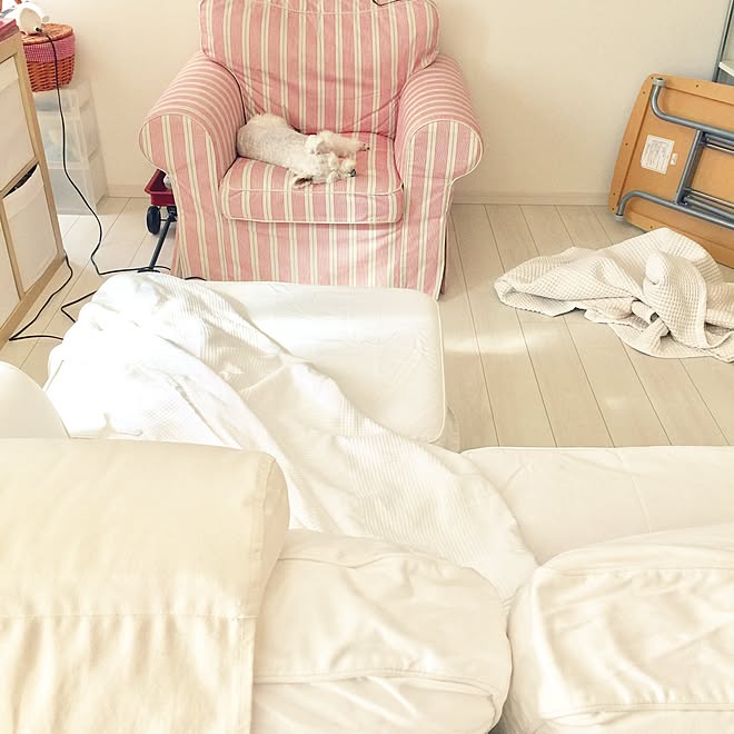 リビング お洗濯日和 Ikea ソファーカバー洗濯 5月 などのインテリア実例 17 05 29 14 40 15 Roomclip ルームクリップ リビング お洗濯日和 Ikea ソファーカバー洗濯 5月 などのインテリア実例 17 05 29 14 40 15 Roomclip ルームクリップ