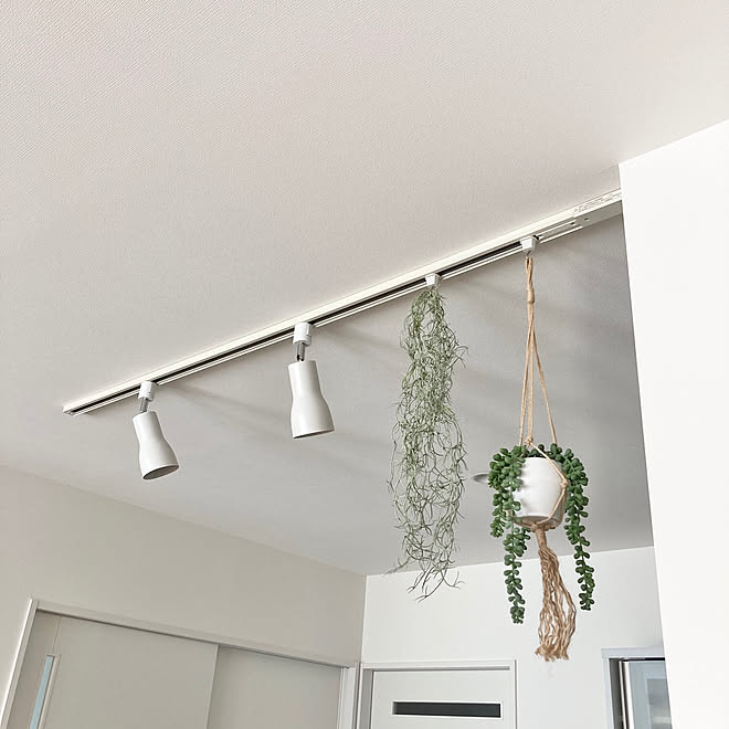 ハンギング プランター ウスネオイデス 観葉植物 カウンターキッチン キッチンのインテリア実例 21 02 21 13 17 14 Roomclip ルームクリップ