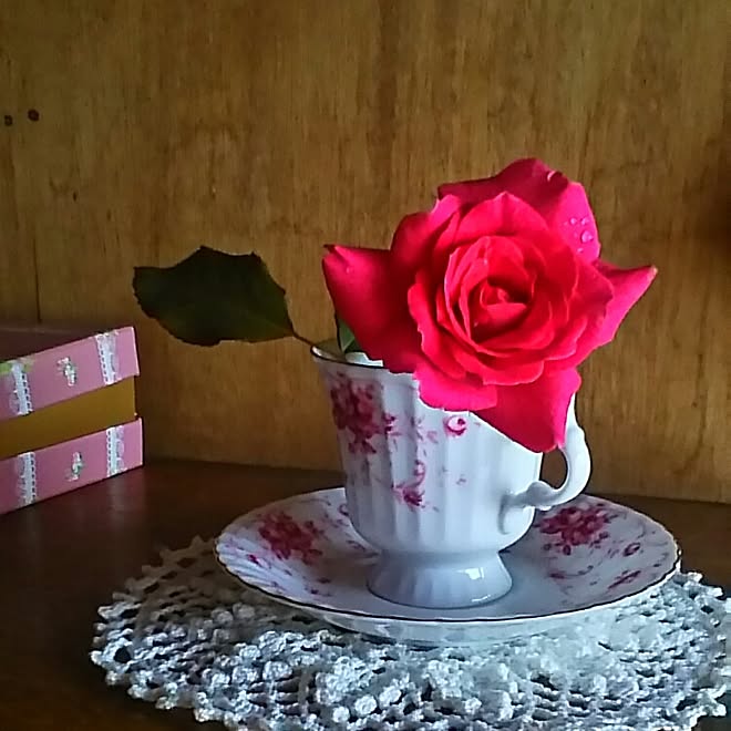 玄関 入り口 バラ 薔薇 クロッシェレース クロシェレース などのインテリア実例 16 09 07 18 12 39 Roomclip ルームクリップ