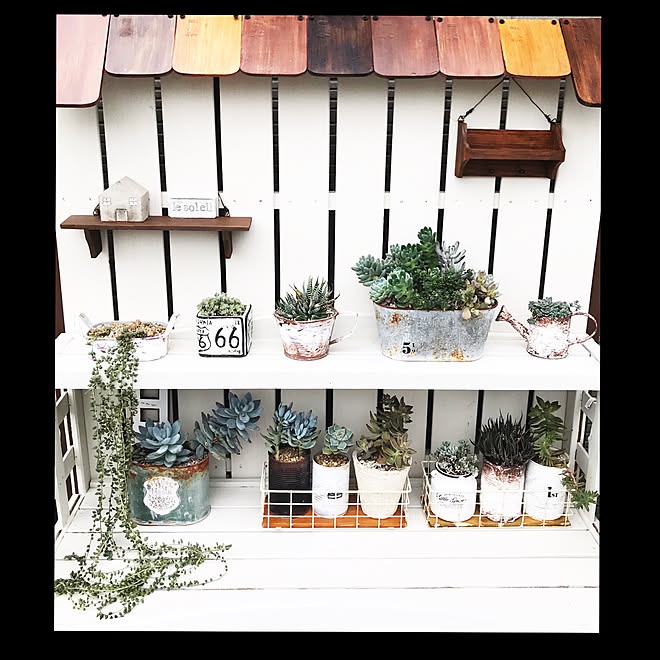 リメイク缶 おうちモチーフ ブリキ雑貨 セリアリメイク 多肉植物 などのインテリア実例 19 07 07 13 40 30 Roomclip ルームクリップ