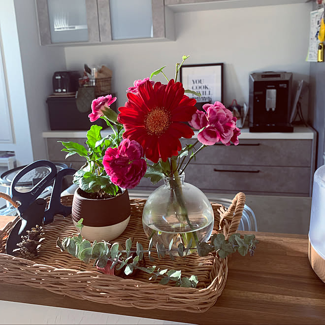 コーヒーの木 アイビー スプレーカーネーション ガーベラ Flower 花瓶 などのインテリア実例 22 02 16 10 59 59 Roomclip ルームクリップ