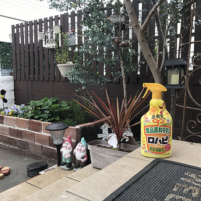 ロハピ アースガーデン 害虫対策 植物のある暮らし ガーデニング などのインテリア実例 21 04 29 11 17 33 Roomclip ルームクリップ ロハピ アースガーデン 害虫対策 植物のある暮らし ガーデニング などのインテリア実例 21 04 29 11 17 33 Roomclip ルームクリップ