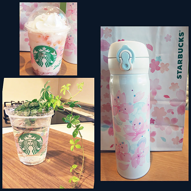 キッチン 新商品買ったよ スタバ水筒 Starbucks Sakura Starbucks 空きカップ などのインテリア実例 02 27 17 35 31 Roomclip ルームクリップ
