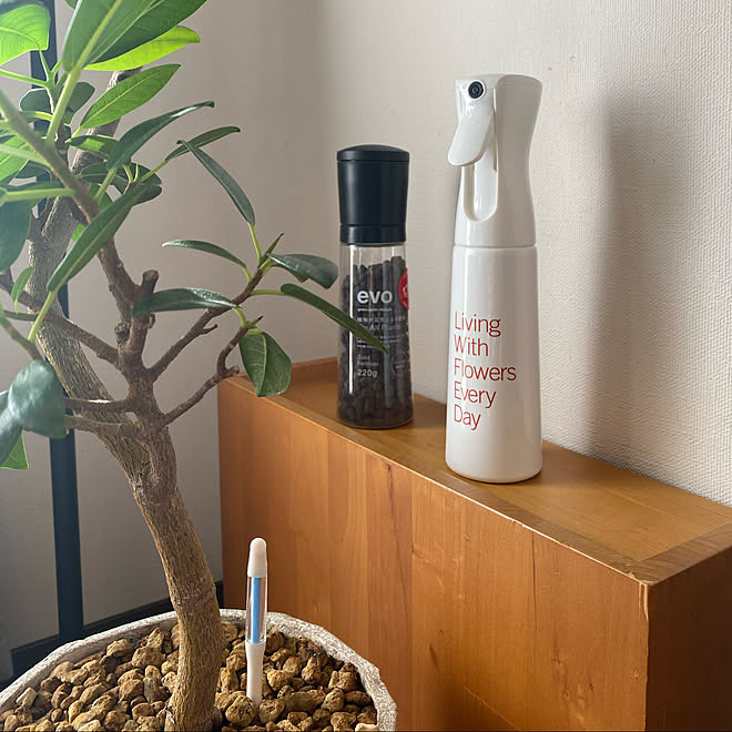 観葉植物 ミストスプレー 青山フラワーマーケット リビングのインテリア実例 09 07 10 37 17 Roomclip ルームクリップ 観葉植物 ミストスプレー 青山フラワーマーケット リビングのインテリア実例 09 07 10 37 17 Roomclip ルームクリップ