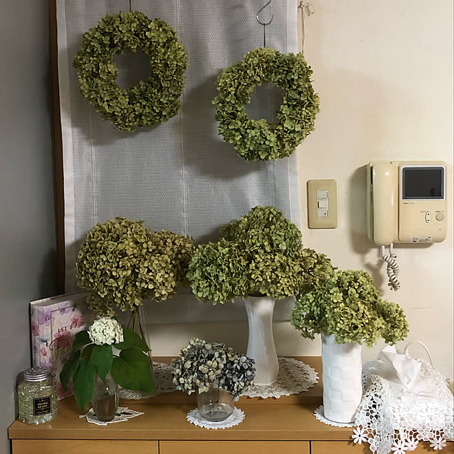 ドライフラワー アナベルドライ 紫陽花ドライ 紫陽花 緑の花 などのインテリア実例 21 08 16 23 07 03 Roomclip ルームクリップ