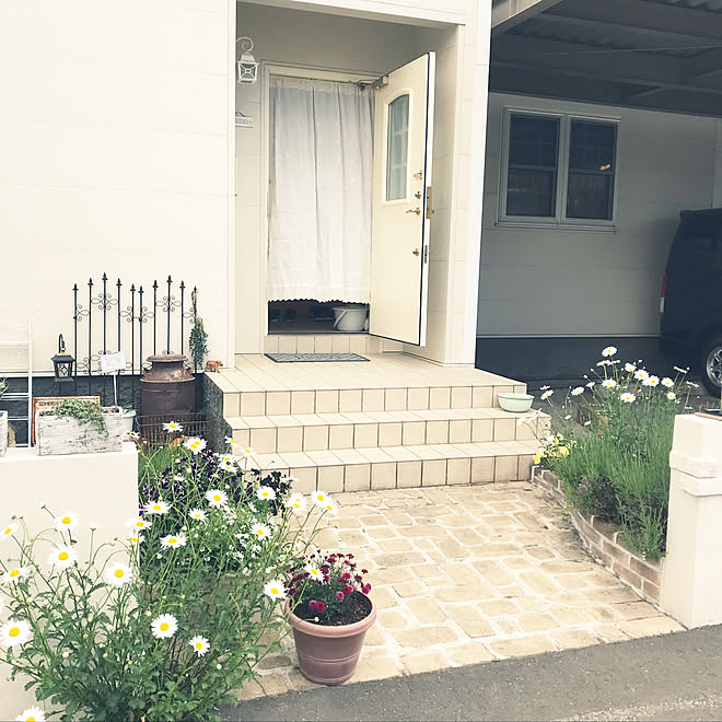 玄関アプローチ マーガレット お花のある暮らし 小さな花壇 北側玄関 などのインテリア実例 19 06 09 14 29 06 Roomclip ルームクリップ 玄関アプローチ マーガレット お花のある暮らし 小さな花壇 北側玄関 などのインテリア実例 19 06 09 14 29 06 Roomclip ルームクリップ