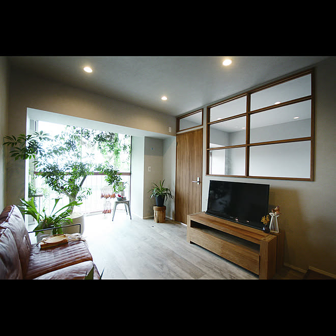 リビング サンルーム グリーンのある暮らし マンションリノベーション 室内窓 などのインテリア実例 19 07 12 27 01 Roomclip ルームクリップ