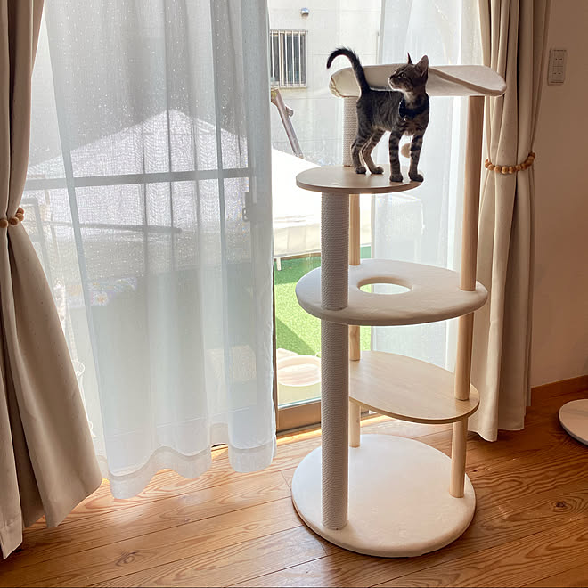 キャットタワー ねこと暮らす ナチュラルインテリア 北欧インテリア 北欧ナチュラル などのインテリア実例 21 08 27 14 09 23 Roomclip ルームクリップ