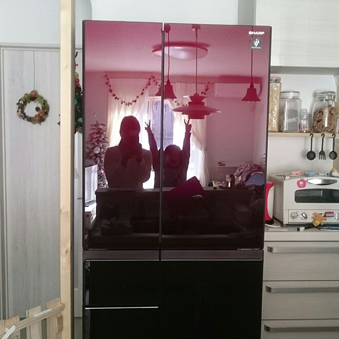 キッチン/新しい冷蔵庫/プラズマクラスター/赤い冷蔵庫のインテリア 
