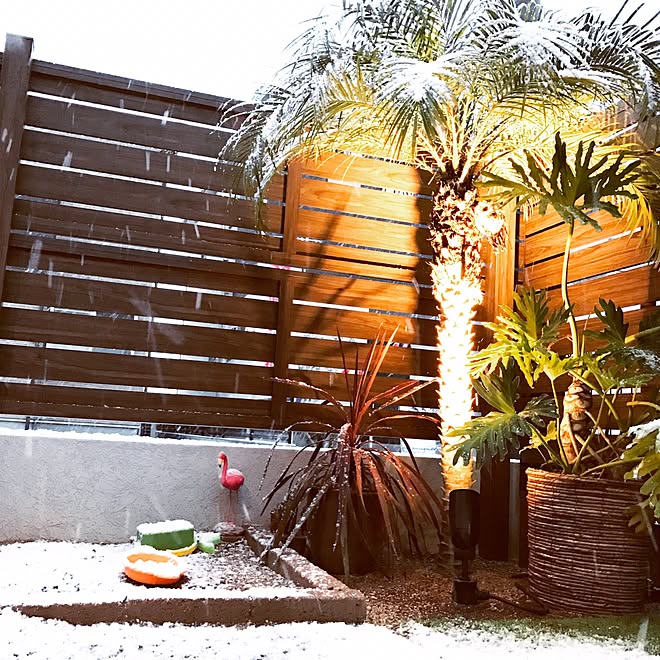 部屋全体 西海岸インテリア カリフォルニアスタイル 植物のある暮らし ライトアップ などのインテリア実例 17 02 18 00 08 17 Roomclip ルームクリップ 部屋全体 西海岸インテリア カリフォルニアスタイル 植物のある暮らし ライトアップ などのインテリア実例 17 02 18 00 08 17 Roomclip ルームクリップ