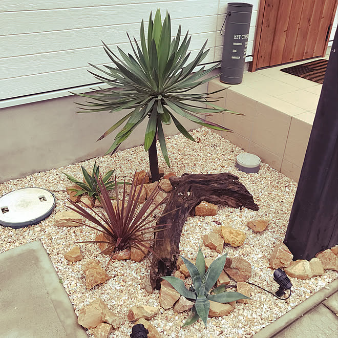 Diy 西海岸 アガベ ロックガーデン ドライガーデン などのインテリア実例 21 06 30 22 10 36 Roomclip ルームクリップ