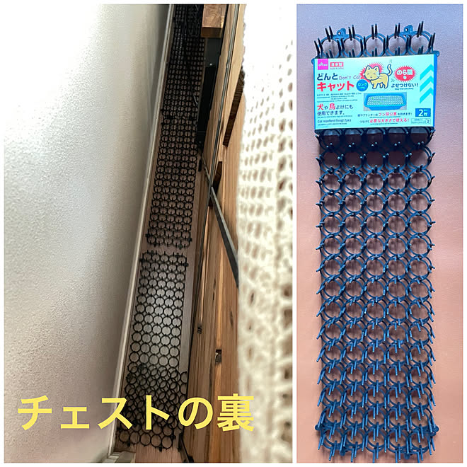 猫よけマット ダイソー トイレトレーニング 子猫と暮らす 猫と暮らす家 などのインテリア実例 22 10 06 12 12 02 Roomclip ルームクリップ 猫よけマット ダイソー トイレトレーニング 子猫と暮らす 猫と暮らす家 などのインテリア実例 22 10 06 12 12 02 Roomclip ルームクリップ
