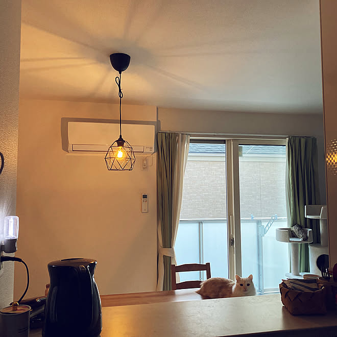 照明 2ldk ふたり暮らし ねこと暮らす Ikea などのインテリア実例 19 11 01 17 19 01 Roomclip ルームクリップ
