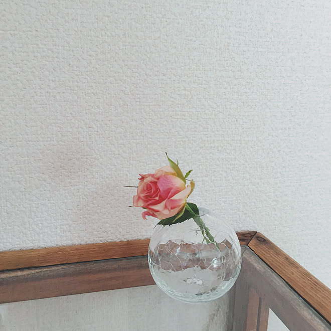 リビング バラ 一輪挿し ガラスパンケース パンケース などのインテリア実例 18 02 15 04 47 Roomclip ルームクリップ