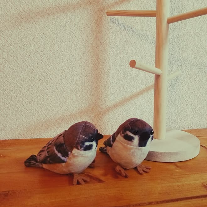 いつもいいねやコメありがとうございます フォロワーの皆様に感謝 すずめ ゲーセンにて ぬいぐるみ などのインテリア実例 17 02 25 45 33 Roomclip ルームクリップ