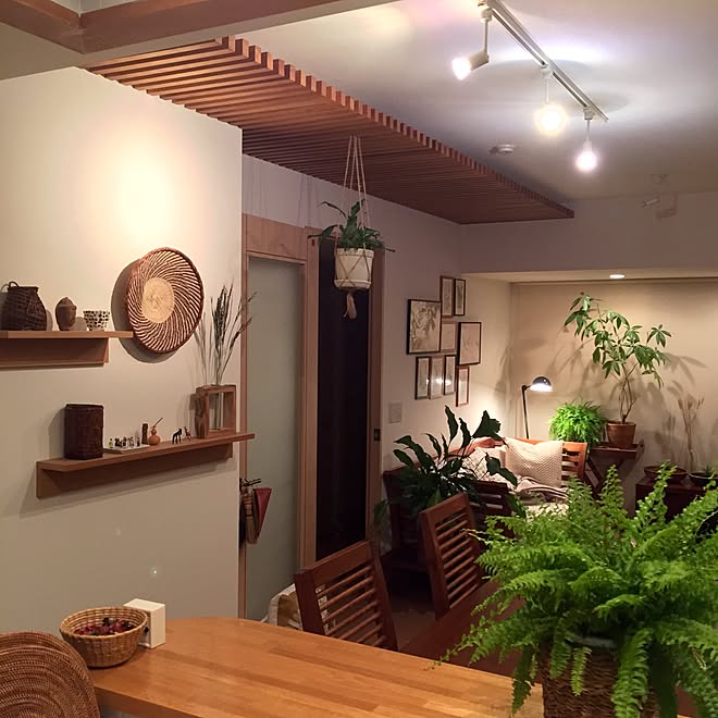 壁/天井/一人暮らし/間接照明/無印良品 壁に付けられる家具/観葉植物&hellip;などのインテリア実例 20170328 210938