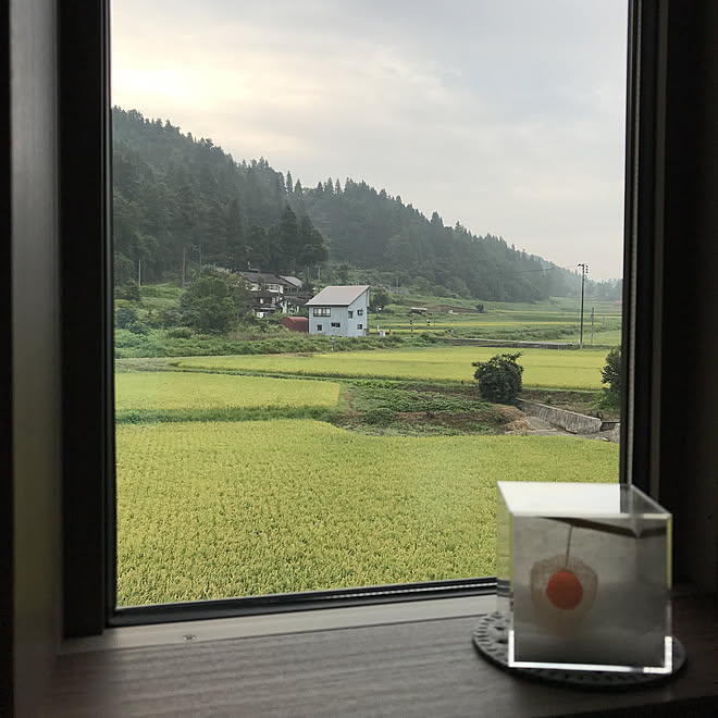 ダイソーのコースター 窓から見える景色 田舎 今朝の1枚 二世帯住宅の二階 などのインテリア実例 19 09 01 06 13 55 Roomclip ルームクリップ