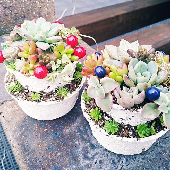 玄関/入り口/多肉植物/多肉寄せ植え/多肉ツリー/クリスマスディスプレイ&hellip;などのインテリア実例 20201123 164114