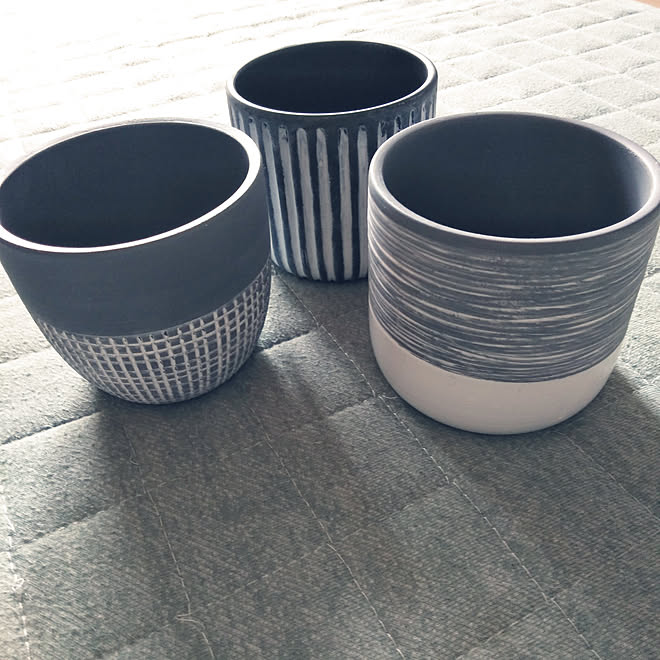 ダイソー Daiso 植木鉢 部屋全体のインテリア実例 22 03 12 13 58 03 Roomclip ルームクリップ