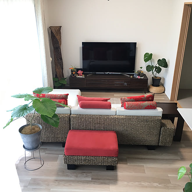 横長リビング マンションインテリア アジアンインテリア 観葉植物のある暮らし ウンベラータ などのインテリア実例 07 19 13 02 41 Roomclip ルームクリップ