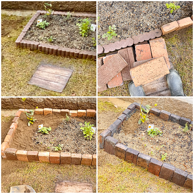 ハーブ寄せ植え ハーブ栽培 花壇作り 庭作り レンガ花壇diy などのインテリア実例 22 03 18 22 09 54 Roomclip ルームクリップ