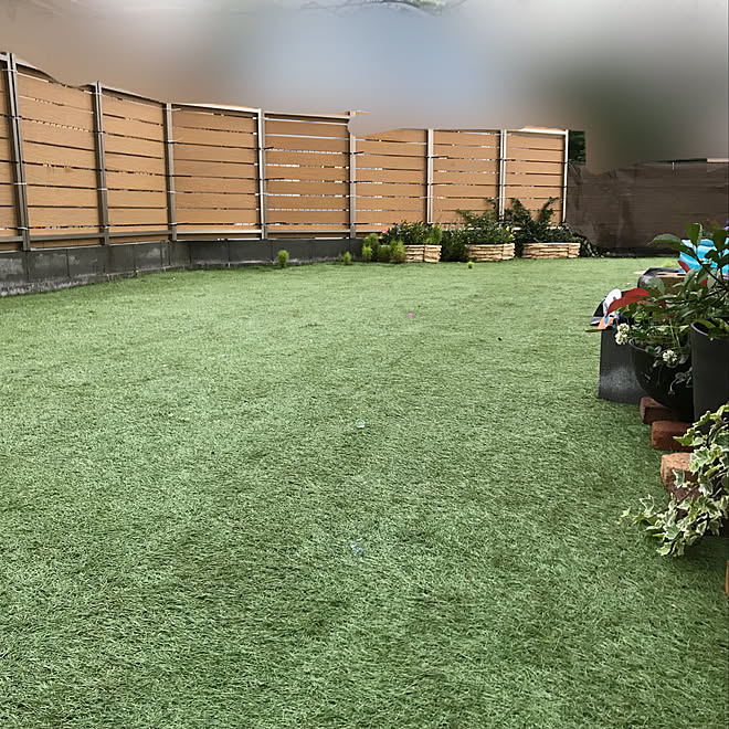ガーデニング Diy 目隠し フェンス 花壇 などのインテリア実例 19 07 06 22 40 02 Roomclip ルームクリップ ガーデニング Diy 目隠し フェンス 花壇 などのインテリア実例 19 07 06 22 40 02 Roomclip ルームクリップ