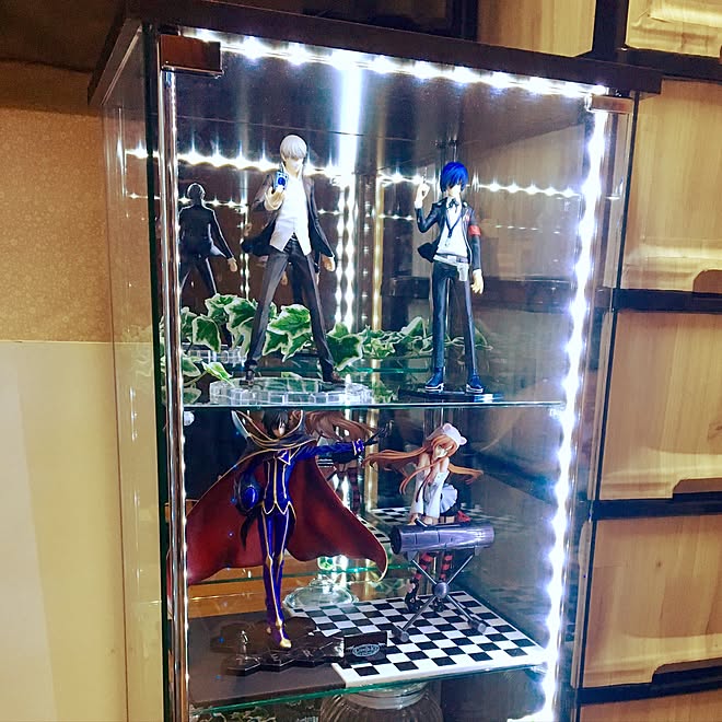 棚/フィギュア棚/フィギュア/オタク部屋/フィギュア収納&hellip;などのインテリア実例 20170716 072032