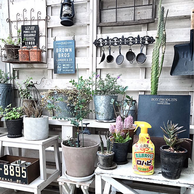 ロハピ アースガーデン 害虫対策 植物のある暮らし ガーデニング などのインテリア実例 06 06 17 51 17 Roomclip ルームクリップ