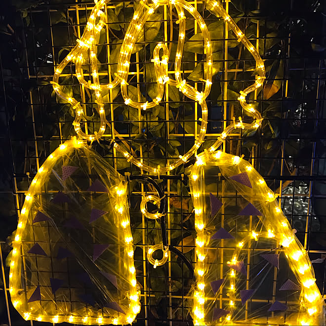 Ledロープライト 照明 100均 Diy クリスマス などのインテリア実例 12 21 09 54 50 Roomclip ルームクリップ