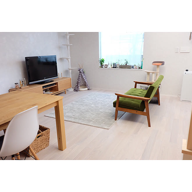 部屋全体 リビングダイニング 白い床 キャットタワー グリニッチtvボード などのインテリア実例 17 10 23 17 39 10 Roomclip ルームクリップ