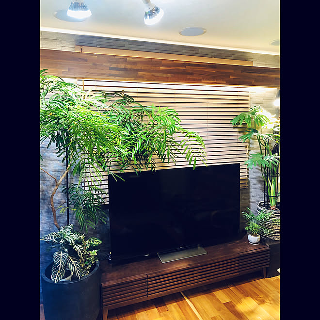 タチカワブラインド リビング 積水ハウス 積水ハウスリフォーム東日本 積水ハウスリフォームのインテリア実例 02 13 08 04 Roomclip ルームクリップ