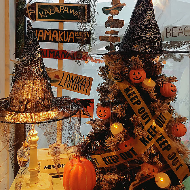 リビング Ledライト カボチャのオブジェ 蜘蛛の巣 手作り看板diy などのインテリア実例 18 09 26 16 57 43 Roomclip ルームクリップ