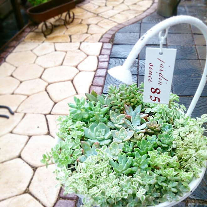 玄関 入り口 ガーデン雑貨 多肉寄せ植え お庭 インスタ M Chachamaru などのインテリア実例 16 07 09 15 05 32 Roomclip ルームクリップ