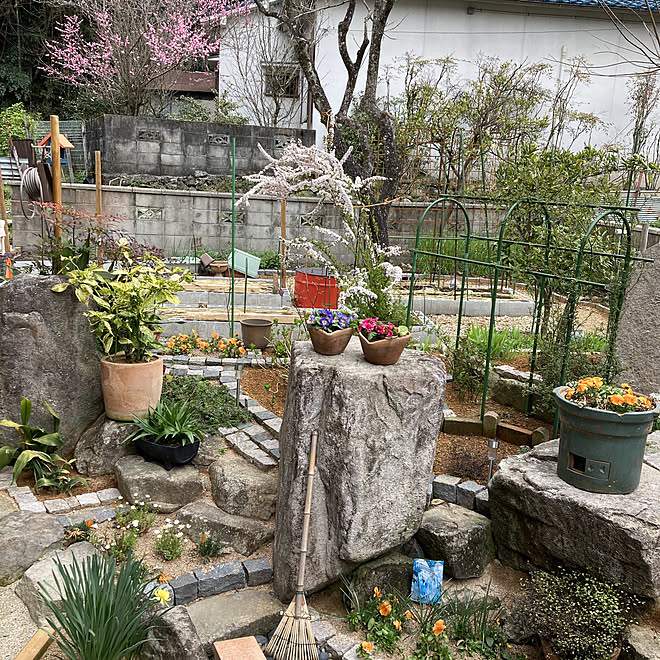 ガーデニング 春爛漫 いつも見て頂いて有難うございます 季節の花管理 田舎暮らし などのインテリア実例 22 03 30 07 54 33 Roomclip ルームクリップ ガーデニング 春爛漫 いつも見て頂いて有難うございます 季節の花管理 田舎暮らし などのインテリア実例 22 03 30 07 54 33 Roomclip ルームクリップ