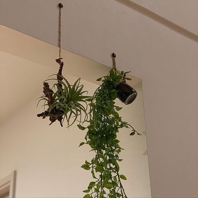 吊るす植物 造花 壁 天井 フェイクグリーンのインテリア実例 03 21 18 57 45 Roomclip ルームクリップ