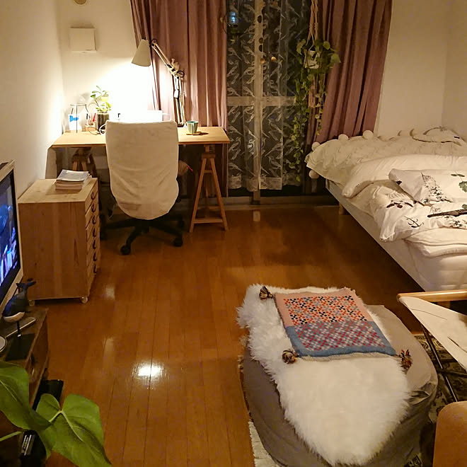 部屋全体 一人暮らし 1k パープル 緑のある生活のインテリア実例 19 04 15 19 02 59 Roomclip ルームクリップ